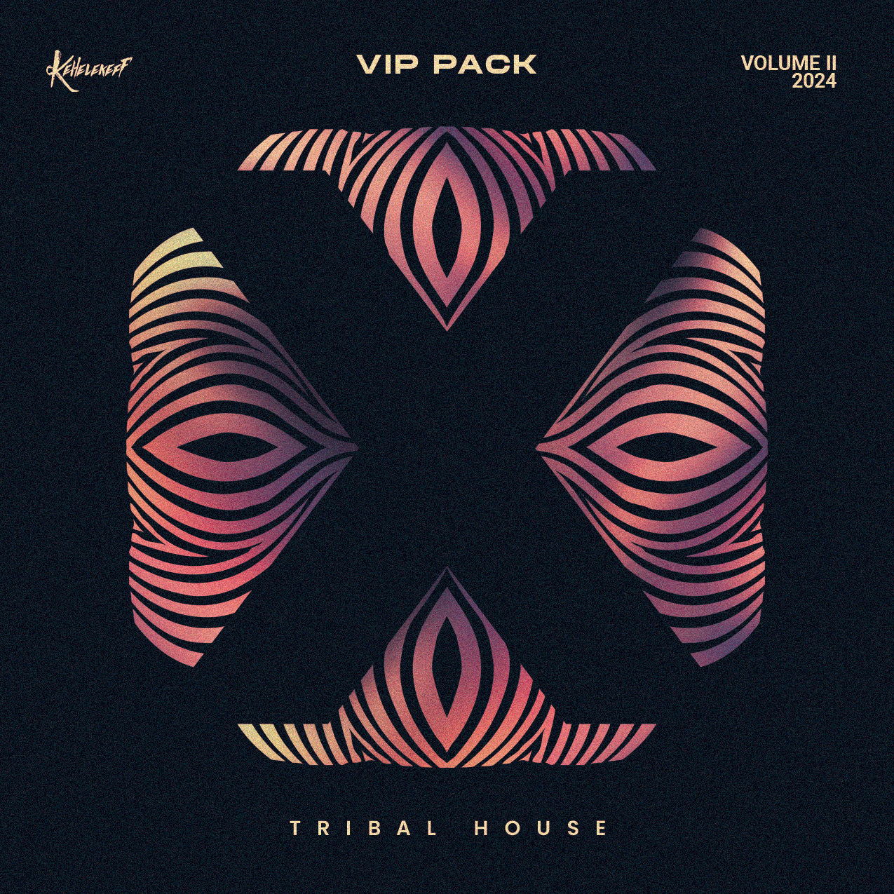 VIP Mashup Pack 2024 Vol. 2