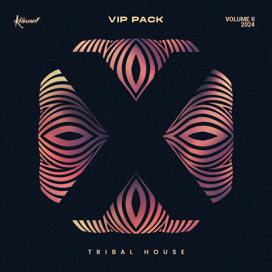 VIP Mashup Pack 2024 Vol. 2